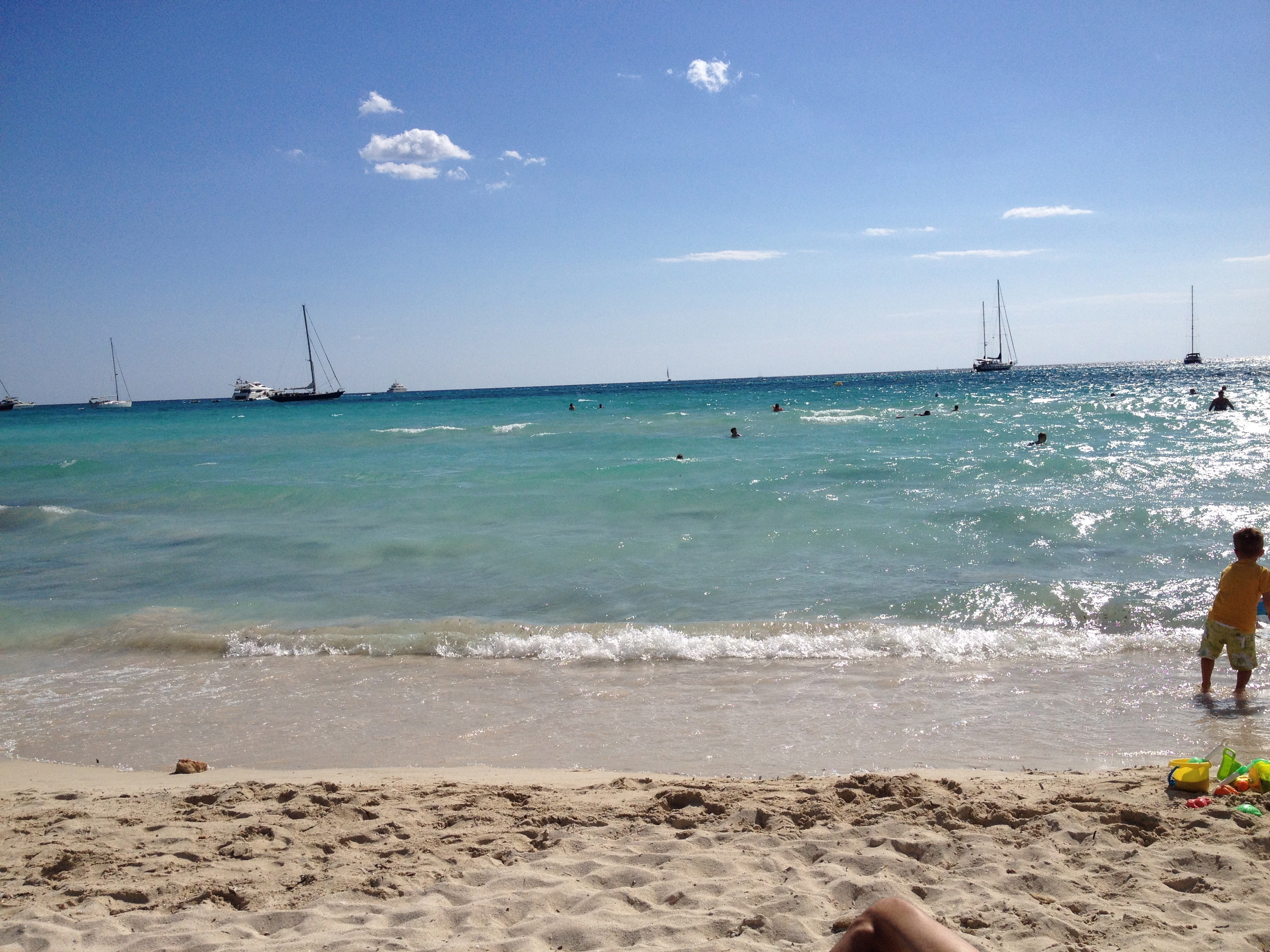 Leishmaniose aus Mallorca
