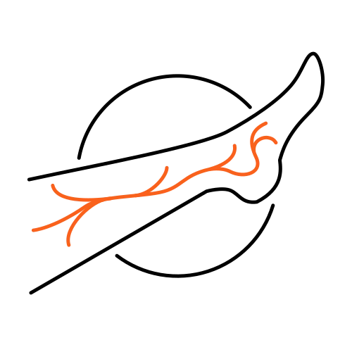 Krampfadern (Heilende Medizin) Krampfadern (Heilende Medizin)