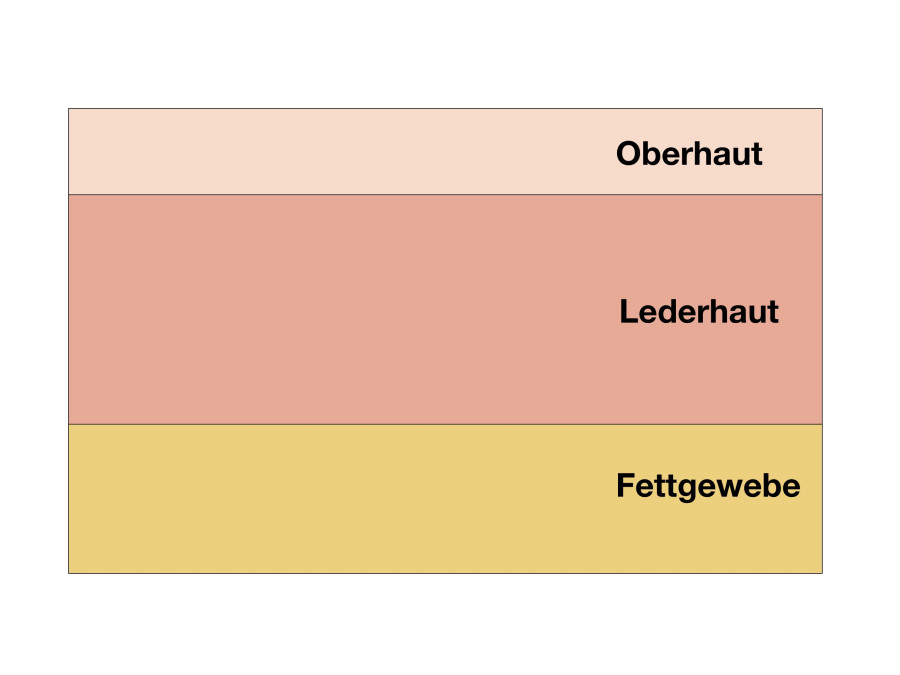 Hautschema