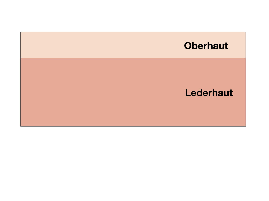 Vollhauttransplantat